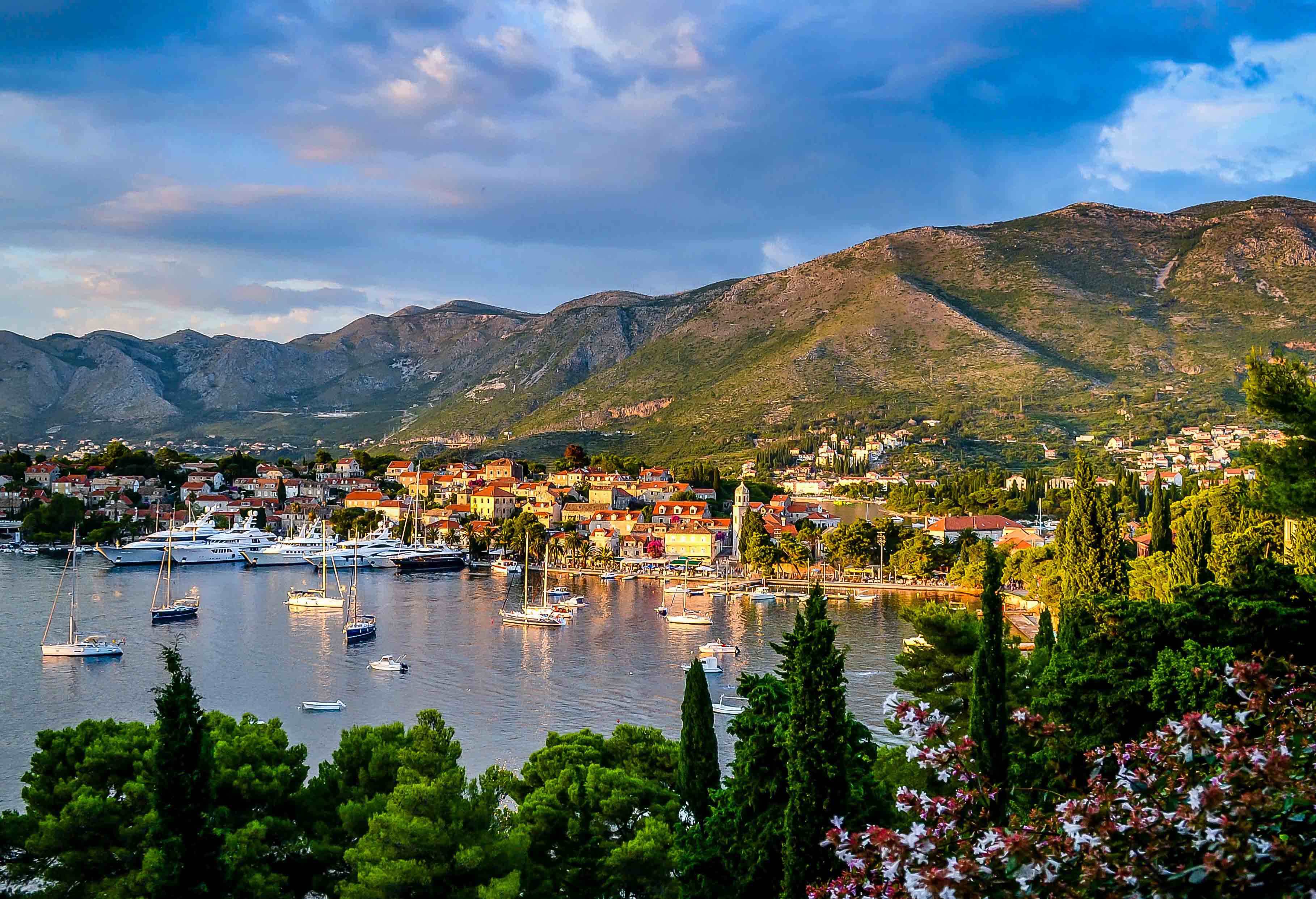 photo-Conor Rees photo Conor Rees 2